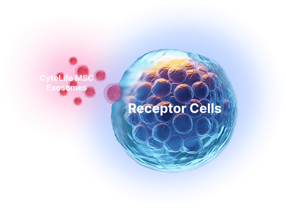 cell-mobile